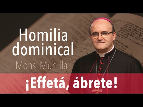 Homilía 08.09.2024 ? Domingo 23º Tiempo Ordinario