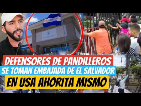 Se T0man Embajada de El Salvador en USA ahorita defensores de Pandiller0s