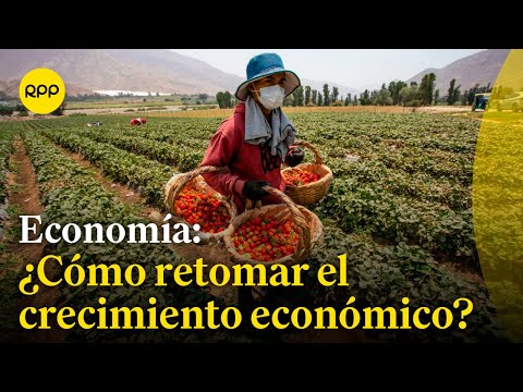 ¿Cómo podemos retomar el crecimiento económico en el Perú?