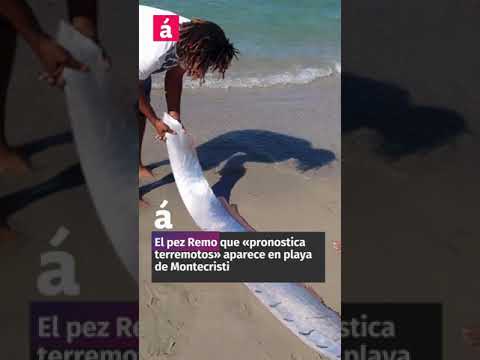 El pez que «pronostica terremotos» aparece en playa de Montecristi