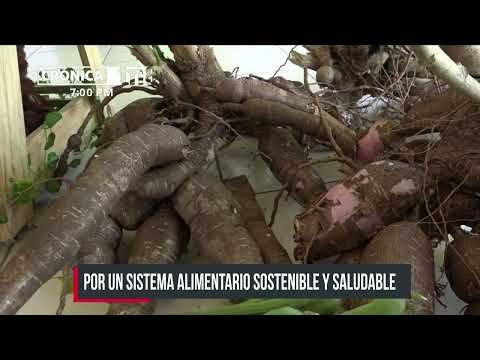 Conmemoran día mundial de las legumbres en Tipitapa - Nicaragua