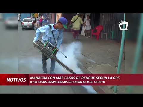 Managua es el departamento con más casos de dengue en el país, según la OPS