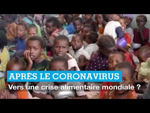 Après le coronavirus : vers une crise alimentaire mondiale 