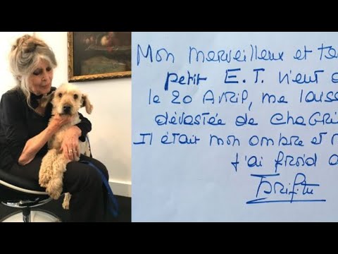 Brigitte Bardot dévastée de chagrin, elle annonce avoir perdu son chien