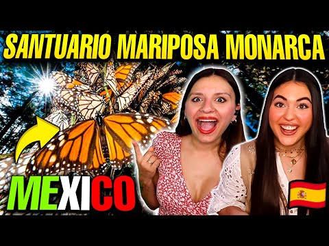 ESPAÑOLAS REACCIONAN a LUGAR MÁGICO en MEXICO *Santuario Marposa Monarca* MICHOACAN *es de cuento!*