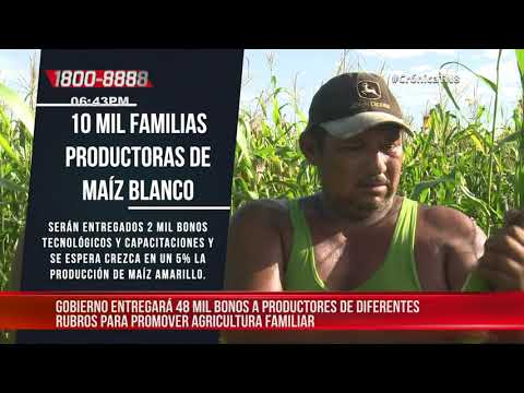 Nicaragua espera crecimiento de producción con promoción de agricultura familiar