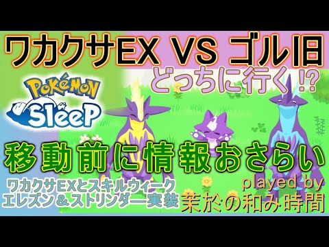 初ワカクサEXでお祭りかゴル旧でしっかり狙うか…【#ポケモンスリープ】低SP主はどっちにいく？リサーチ配信！ゴールド旧発電所＋７５％Plus+所持。無課金のんびり攻略PokémonSleep実況♪