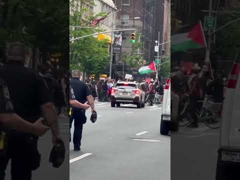 Over 1,000 anti-Israel protesters march toward Met Gala quickly hindered by cops #shorts