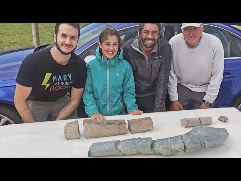 11-Year-Old Girl and Dad Find 202 Million-Year-Old Fossil