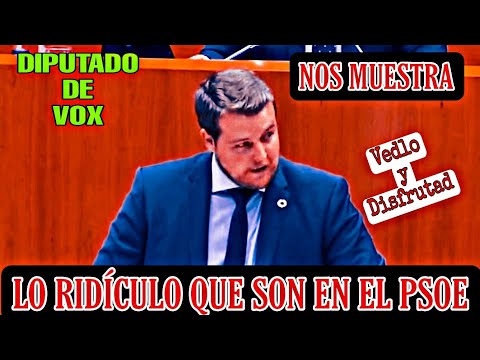 DIPUTADO DE VOX MUESTRA LAS IDEAS RIDÍCULAS DEL PSOE
