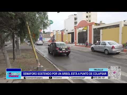Trujillo: semáforo sostenido por un árbol está a punto de colapsar