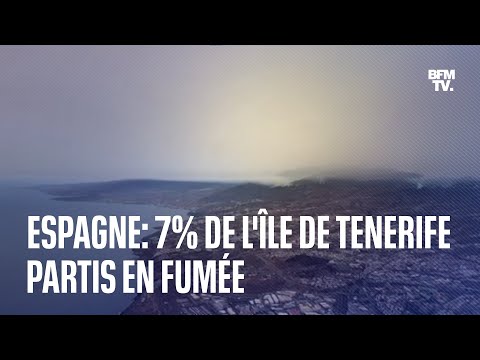Espagne: 7% de l'île de Tenerife partis en fumée
