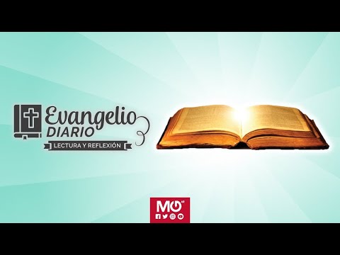 Lectura y reflexión | 11 de junio 2024 | Del santo Evangelio según san Mateo: 5, 13-16