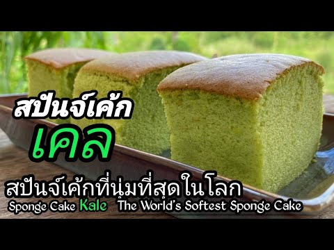สปันจ์เค้กเคล/Kale-sponge-cake สปันจ์เค้กเคล/Kale-sponge-cake
