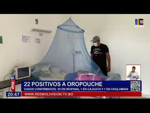 22 casos positivos a Oropouche