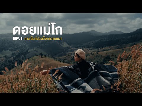 สุขสันต์วันปล่อยวาง-กางเต็นท์ด สุขสันต์วันปล่อยวาง-กางเต็นท์ด