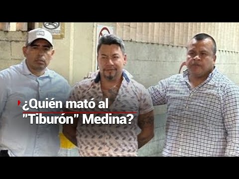 As3sinan a Fernando El Tiburón Medina; viralizado por atacar a golpes a un joven