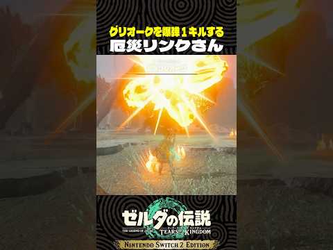 グリオークを爆弾1キルする厄災リンクさん【ゼルダの伝説　ティアキン】