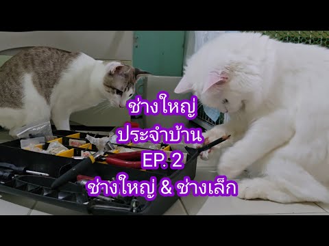 ช่างใหญ่ประจำบ้านEP.2