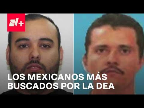 Criminales mexicanos entre los más buscados por la DEA - Despierta