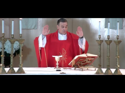La Santa Misa de hoy |Fiesta de San Marcos, evangelista | 25-04-2024 | P. Javier Martín, FM