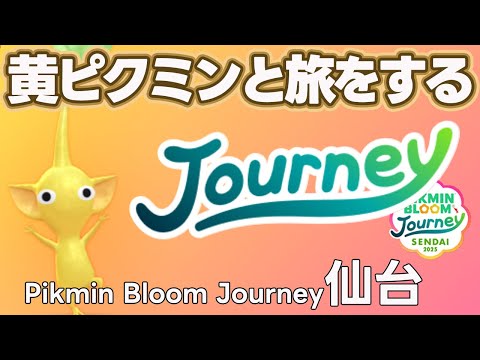 黄ピクミンと旅をする！Pikmin Bloom Journey 2025：仙台【ピクミンブルーム/PikminBloom】