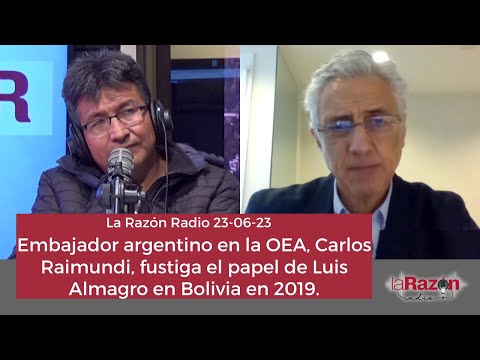 Embajador argentino en la OEA, Carlos Raimundi, fustiga el papel de Luis Almagro en Bolivia en 2019.