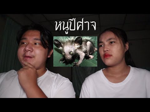 พวกเราซื้อ-หนูปีศาจ-มาจาก-Dark พวกเราซื้อ-หนูปีศาจ-มาจาก-Dark