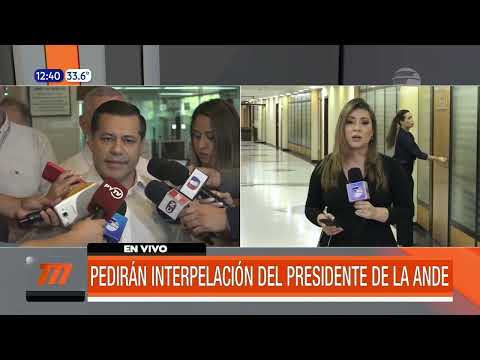 Pedirán interpelación del presidente de la Ande