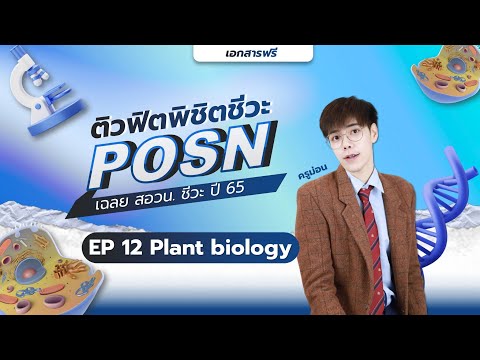 เฉลยสอวนชีวะปี65EP12Plant