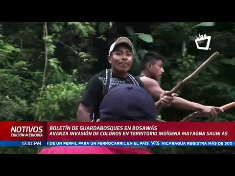 Indígenas denuncian mayor invasión de colonos en la Reserva de Bosawás
