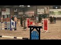 Show jumping horse sport merrie z springen/fokmerrie