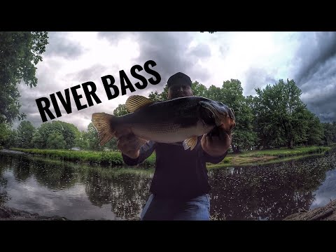 small river bass fishing