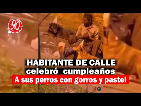 Video: habitante de calle celebró el cumpleaños de su perro con gorros y pastel