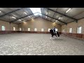 Recreation horse Lieve , knappe merrie