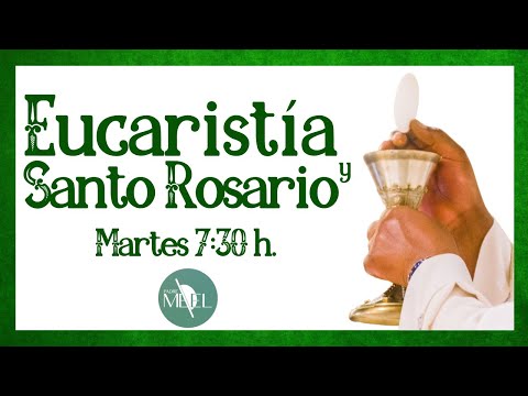 Eucaristía de la memoria de san Ignacio de Antioquía y Santo Rosario, 17 de octubre de 2023.