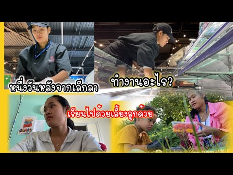 พาไปดูการทำงานของสาวพันได้เรี