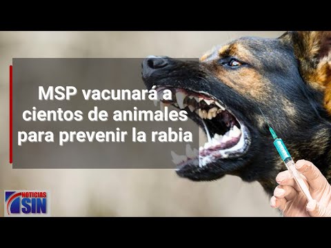 MSP vacunará a cientos de animales para prevenir la rabia