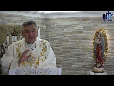 La Palabra de Dios es Luz | Homilía de Hoy: San Jerónimo.  30-09-24 | P. Santiago Martín FM