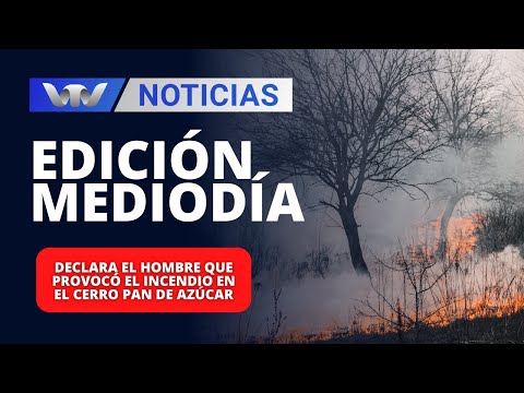 Edición Mediodía 30/01 | Declara el hombre que provocó el incendio en el Cerro Pan de Azúcar