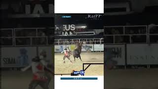 ثور ينتقم من صاحبه