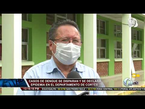 Once Noticias | Casos de dengue se disparan y se declara epidemia en el departamento de Cortés