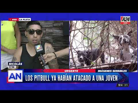 La Plata: dos pitbull lo mordieron más de 50 veces