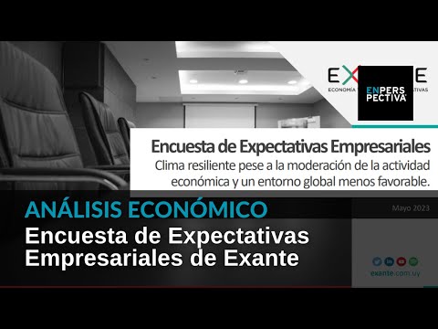 Encuesta de Expectativas Empresariales de Exante: Resiliencia a pesar del enfriamiento económico