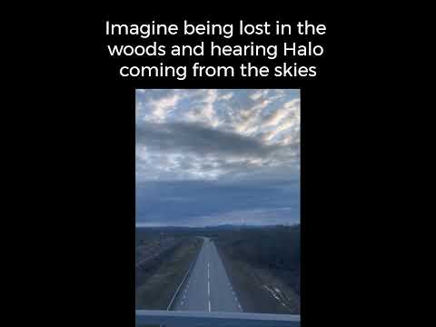 Imagine hearing Halo while being lost in the woods. #beyonce #halo #memes #funny #funnyvideos