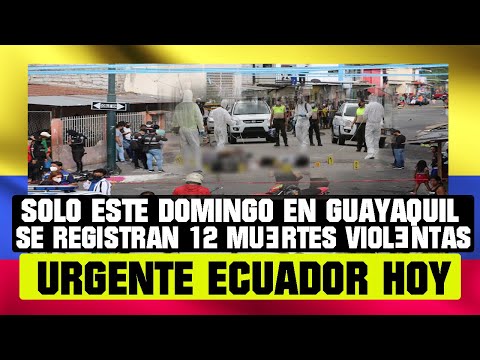 SOLO ESTE DOMINGO EN GUAYAQUIL SE REGISTRAN 12 MURT*ES VIOLENTãS NOTICIAS DE ECUADOR HOY 19 OCTUBRE