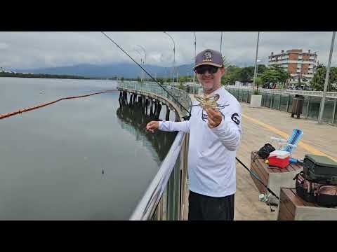 Conhecendo o Deck de Pesca do Jardim Casqueiro