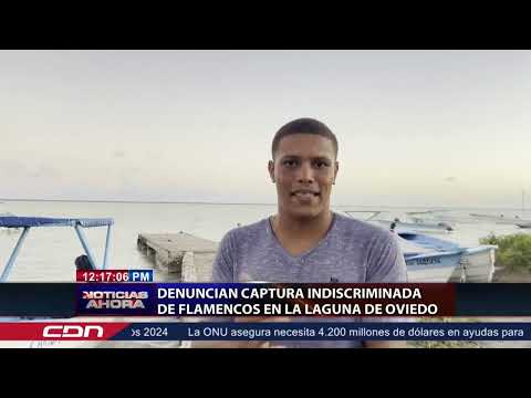 Denuncian captura indiscriminada de flamencos en Laguna de Oviedo