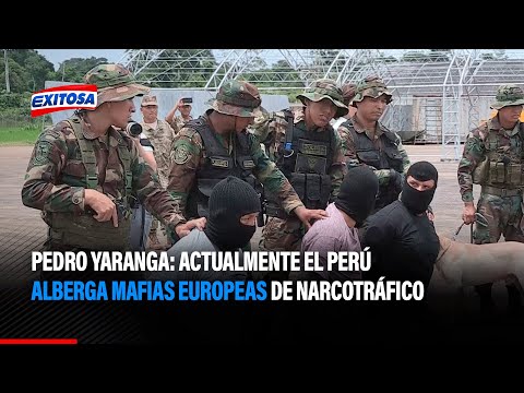 Pedro Yaranga: Actualmente el Perú alberga mafias europeas de narcotráfico