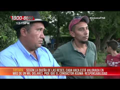 Camión mata 6 vacas y 4 resultan lesionadas en Tipitapa – Nicaragua